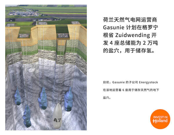 荷蘭努力串起全球氫經(jīng)濟(jì).jpg