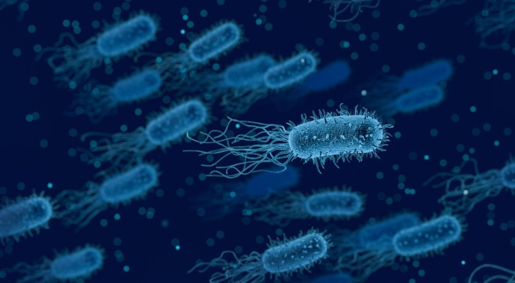 南極細(xì)菌靠空氣生存，并以氫為燃料制造水