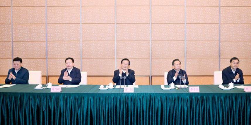 國家燃料電池技術(shù)創(chuàng)新中心和“氫進(jìn)萬家”科技示范工程運(yùn)行情況座談會舉行.jpg